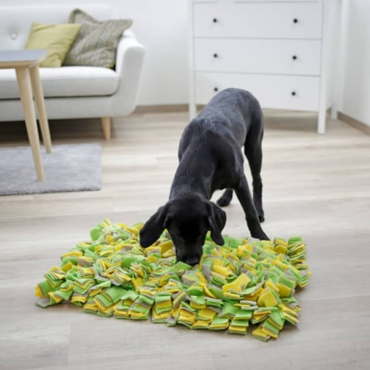 Tapis Renifleur Pour Chien 50x30 Cm Kerbl KERBL