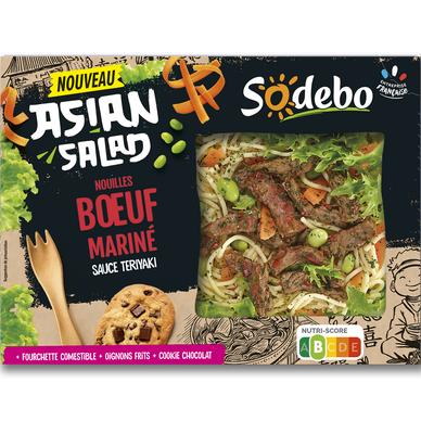 Nouilles boeuf mariné sauce teriyaki SODEBO 320g