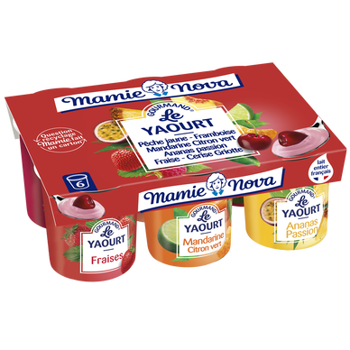 Yaourts Gourmand aux fruits panachés MAMIE NOVA  -  6 pots de 150g