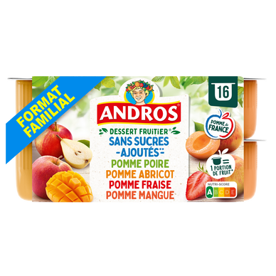 Dessert fruitier sans sucre ajouté fruits panachés ANDROS 16x100g 4x100g