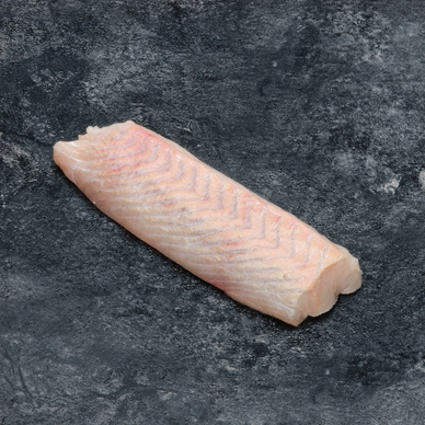 Dos de lieu noir, Pollachius virens, pêché en Atlantique Nord Est