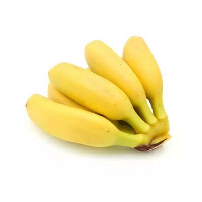 Mini Bananes Frecinette ou Bananito "mûr à point" (barquette de 250 g), Équateur