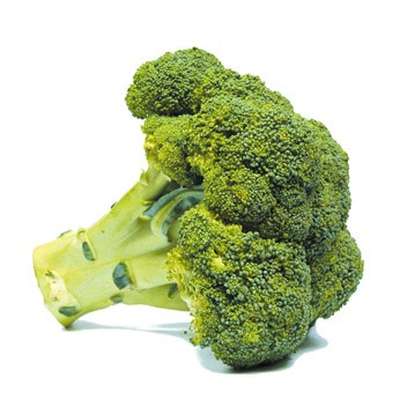 Brocoli (calibre moyen), Pays-bas