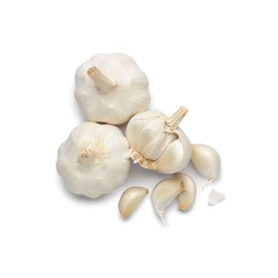 Ail blanc (filet de 3 têtes), Espagne