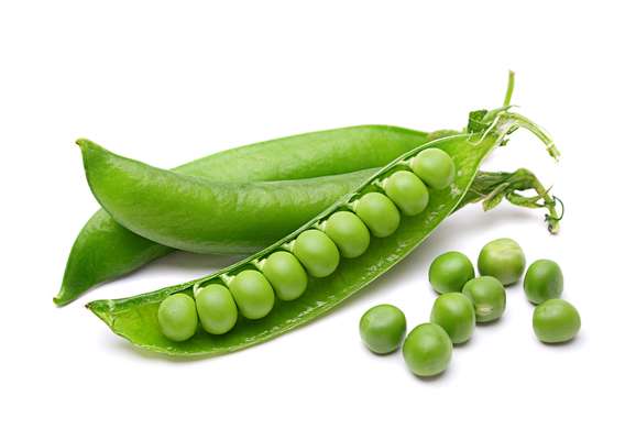 Petits pois frais (à écosser), Danemark