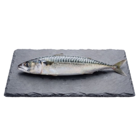 Maquereau