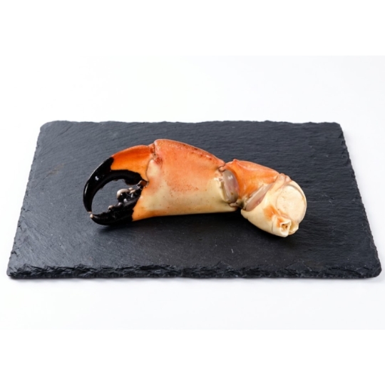 Pince de Crabe