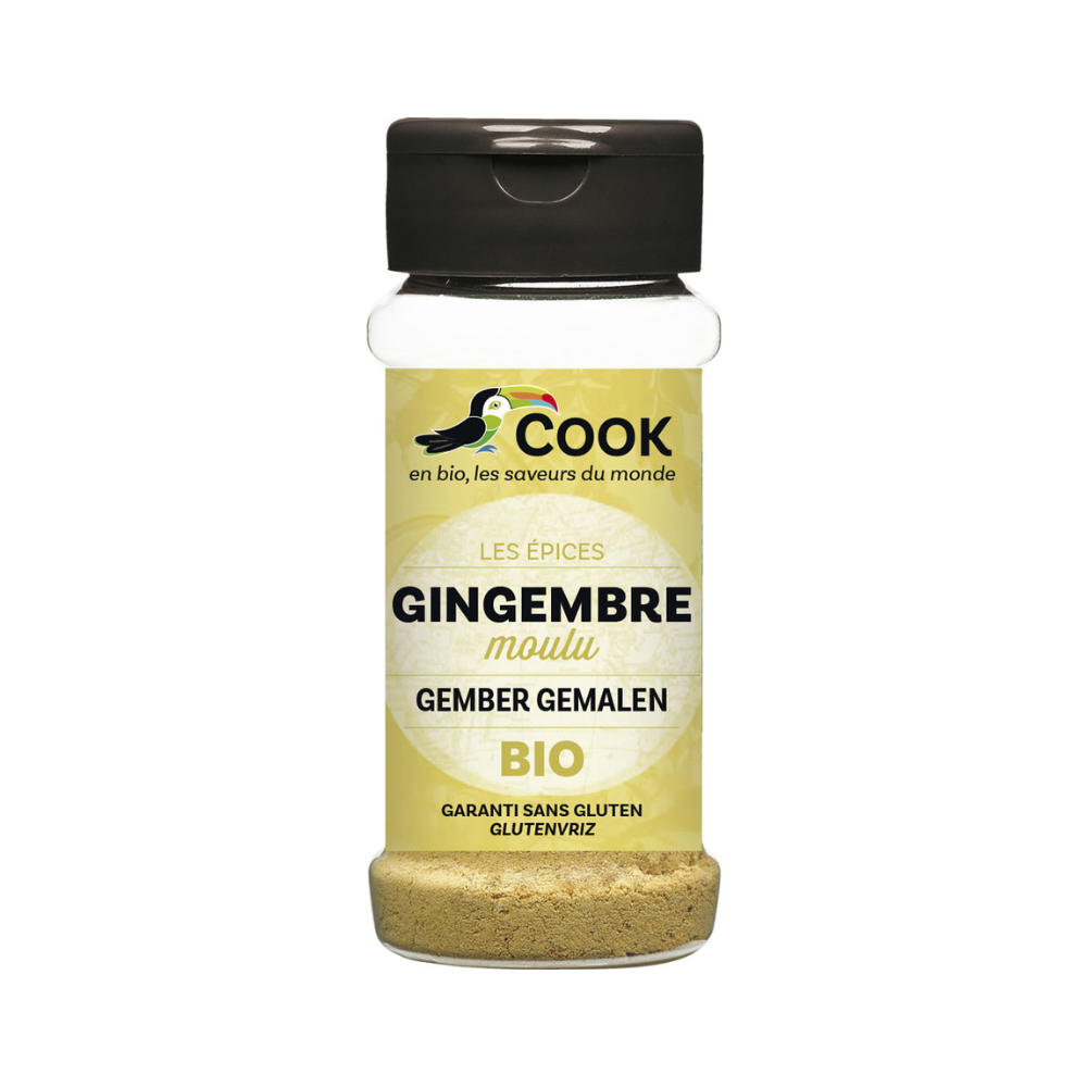 Gingembre en poudre bio