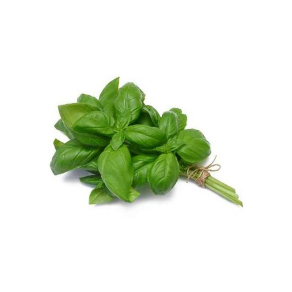 Basilic bio origine France