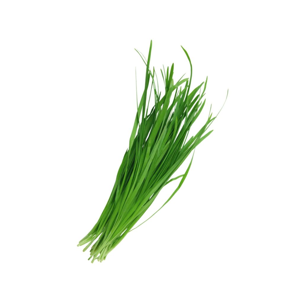 Ciboulette en bouquet bio origine France