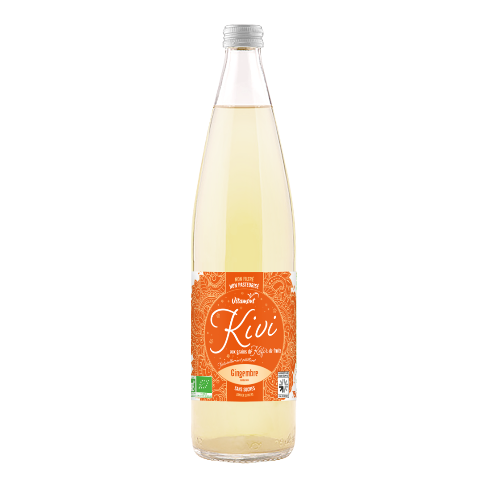 Boisson aux grains de kéfir de fruit gingembre bio