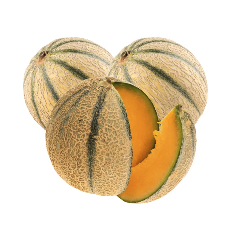 Lot de melons petits calibres bio origine France x 3