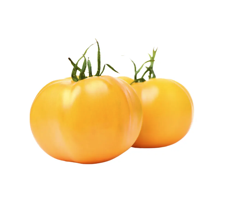 Tomates jaunes bio origine France