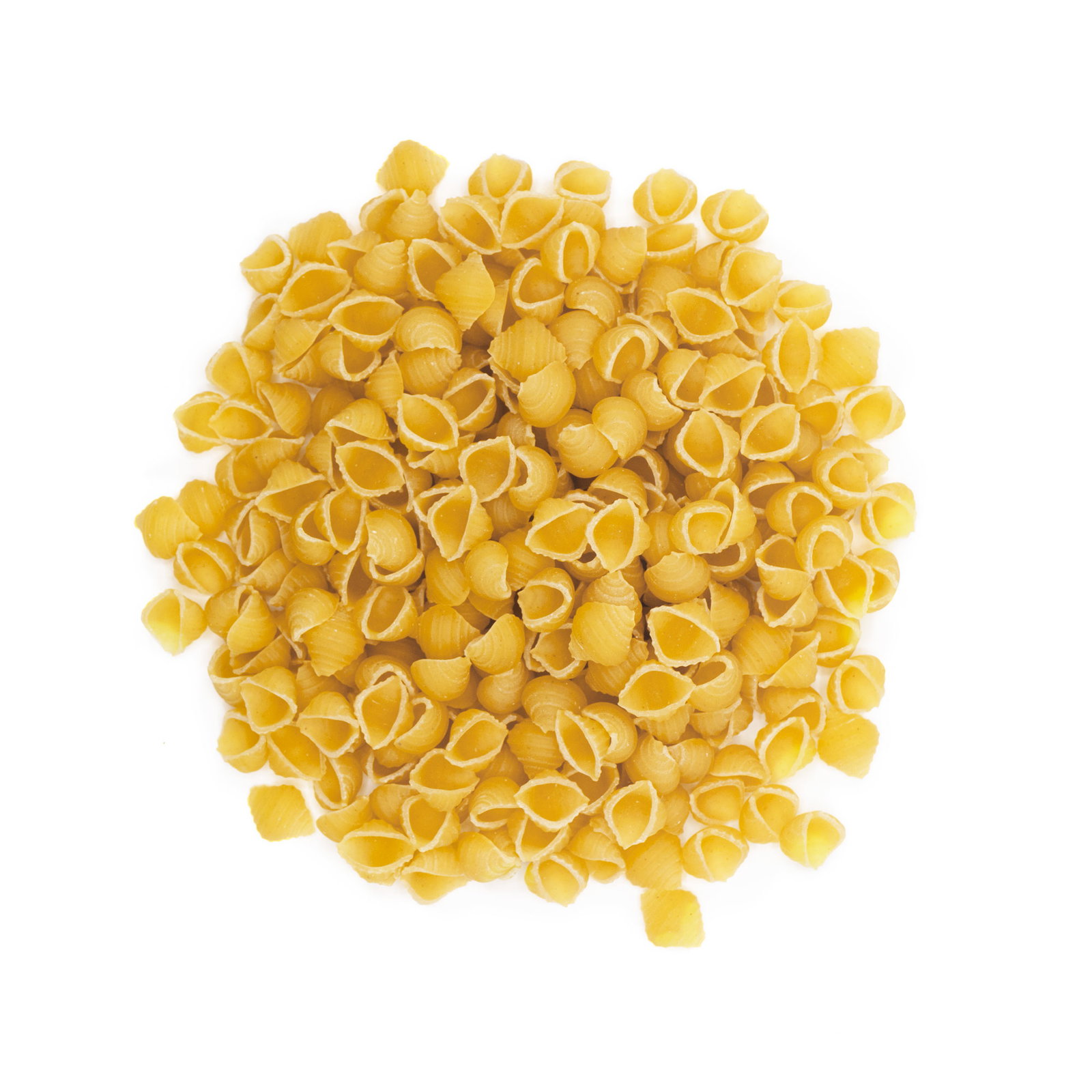 Conchiglie blanches bio en sachet kraft
