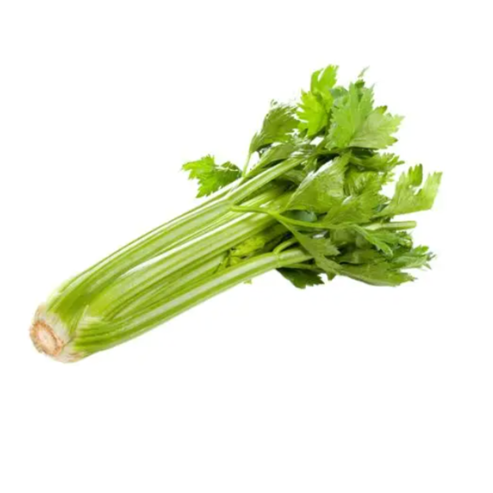 Céleri branche bio origine France