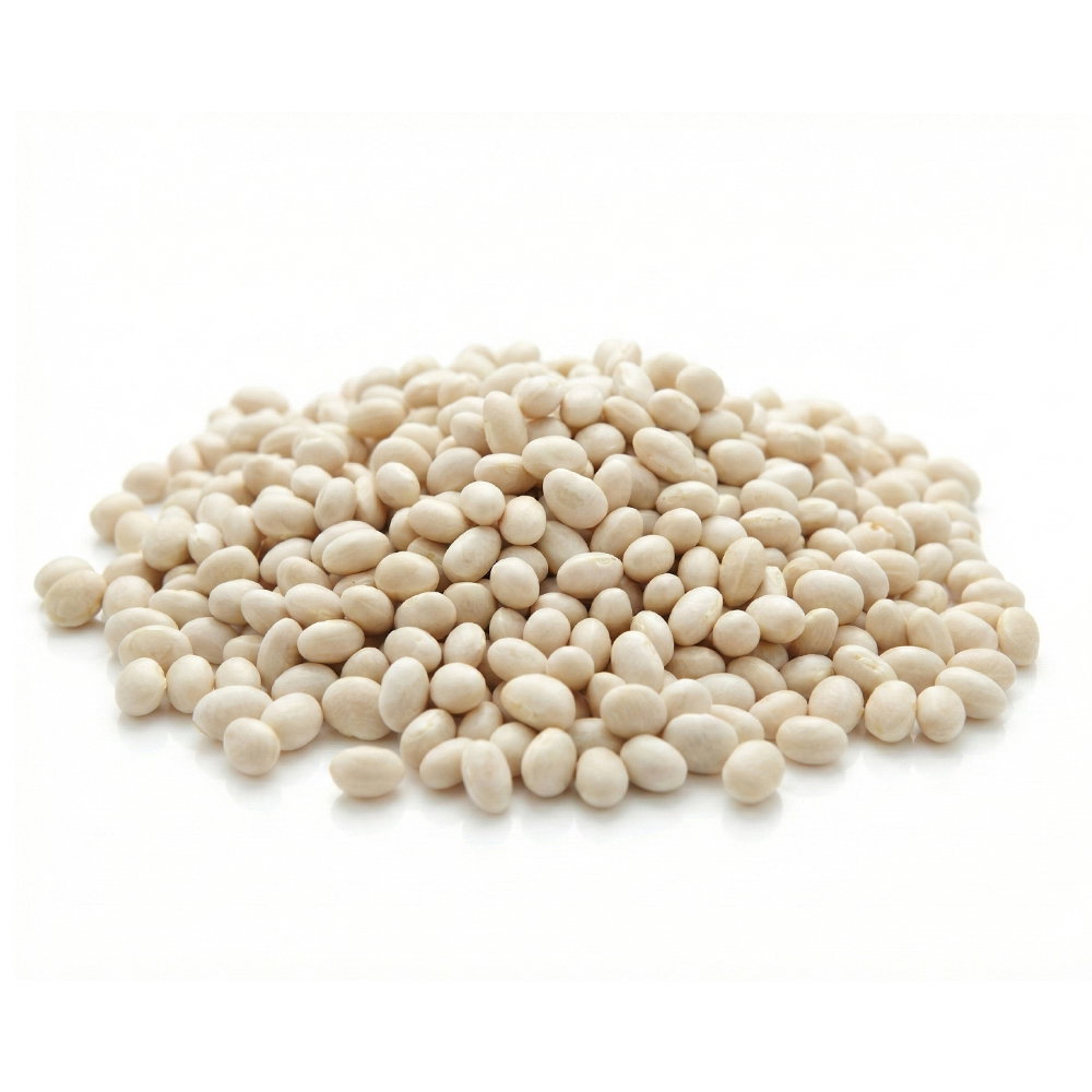 Haricots coco blancs bio origine France en sachet kraft