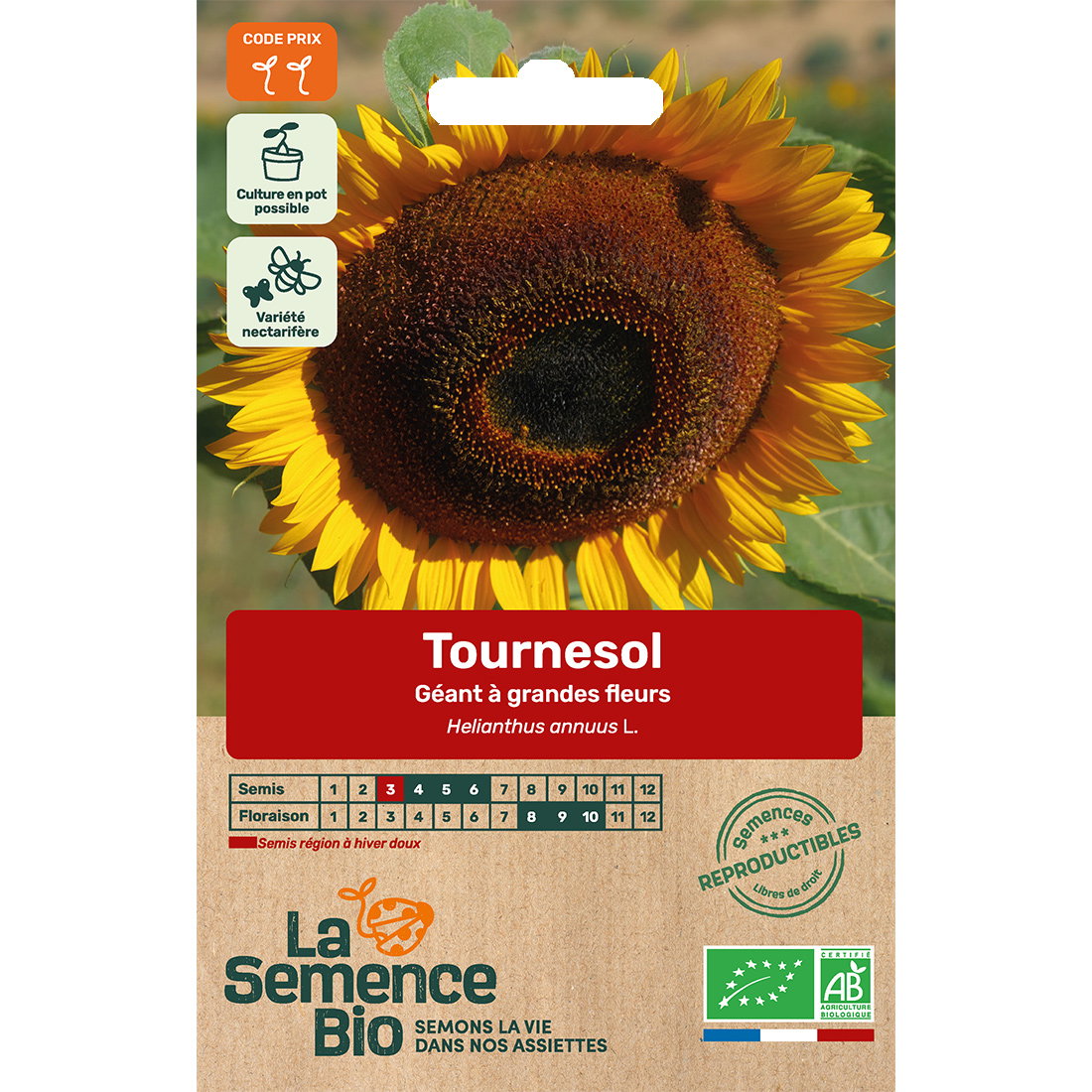 Graines bio tournesol géant