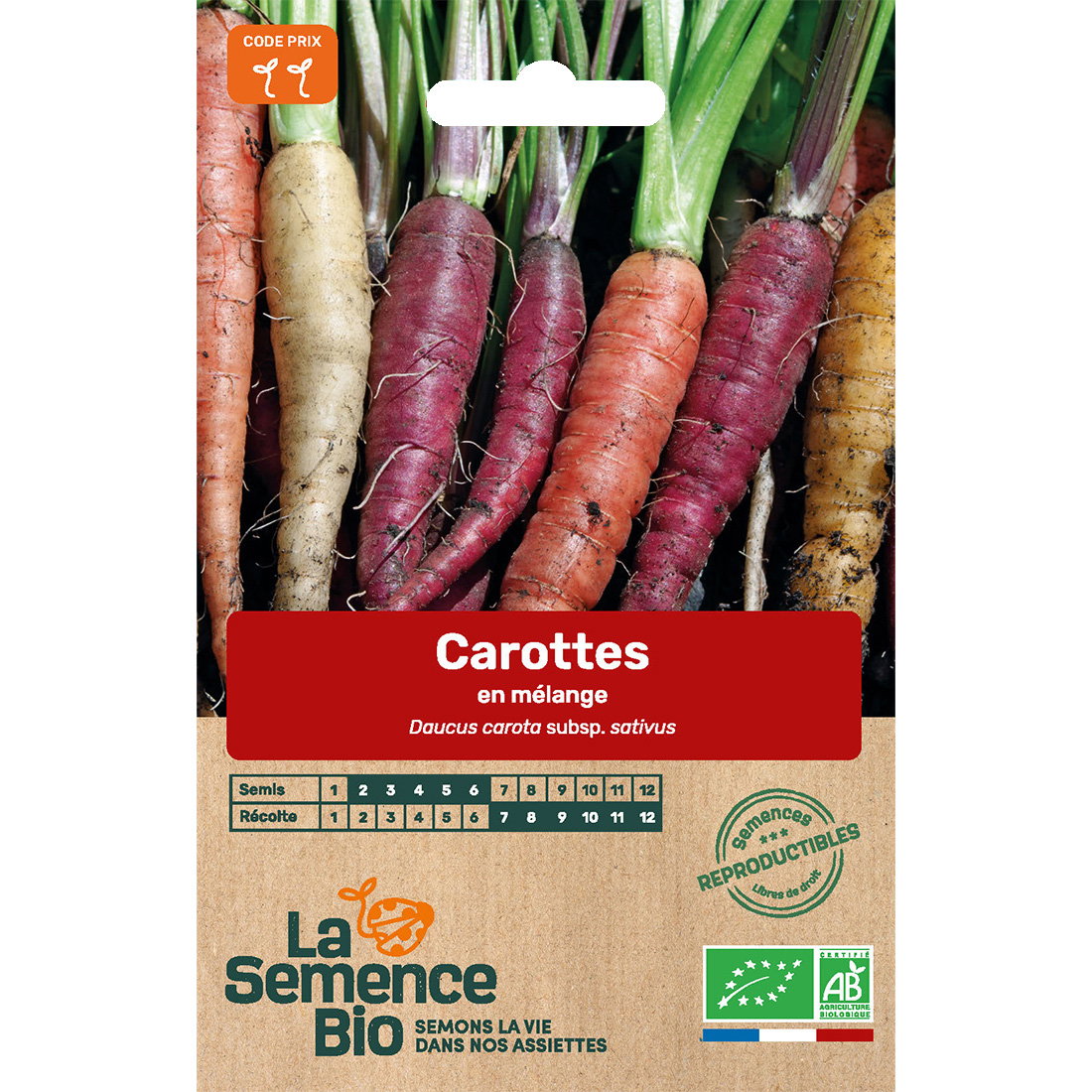 Graines bio carottes en mélange