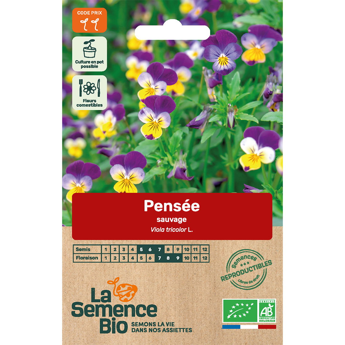 Graines bio de pensée sauvage