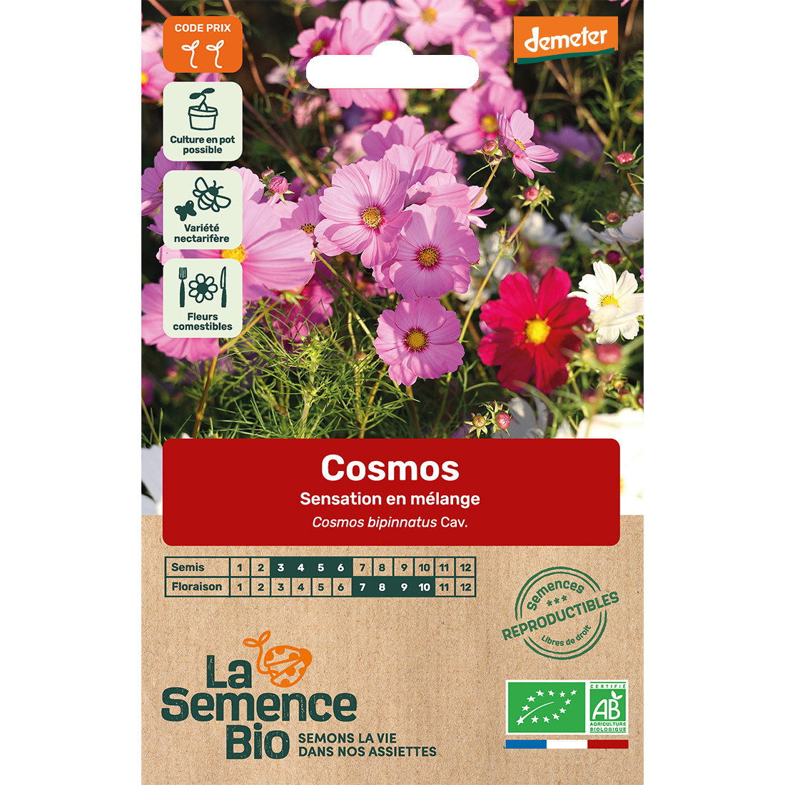 Graines bio de Cosmos sensation en mélange