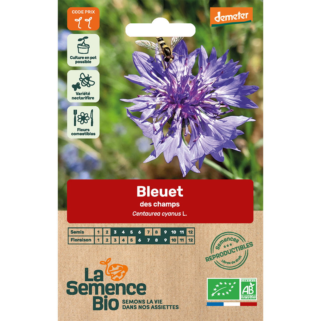 Graines bio de bleuet des champs