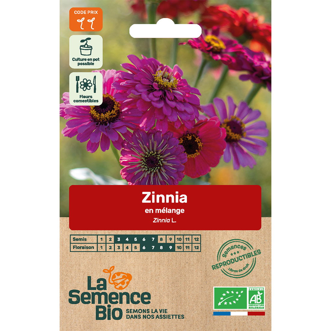 Graines bio zinnia en mélange