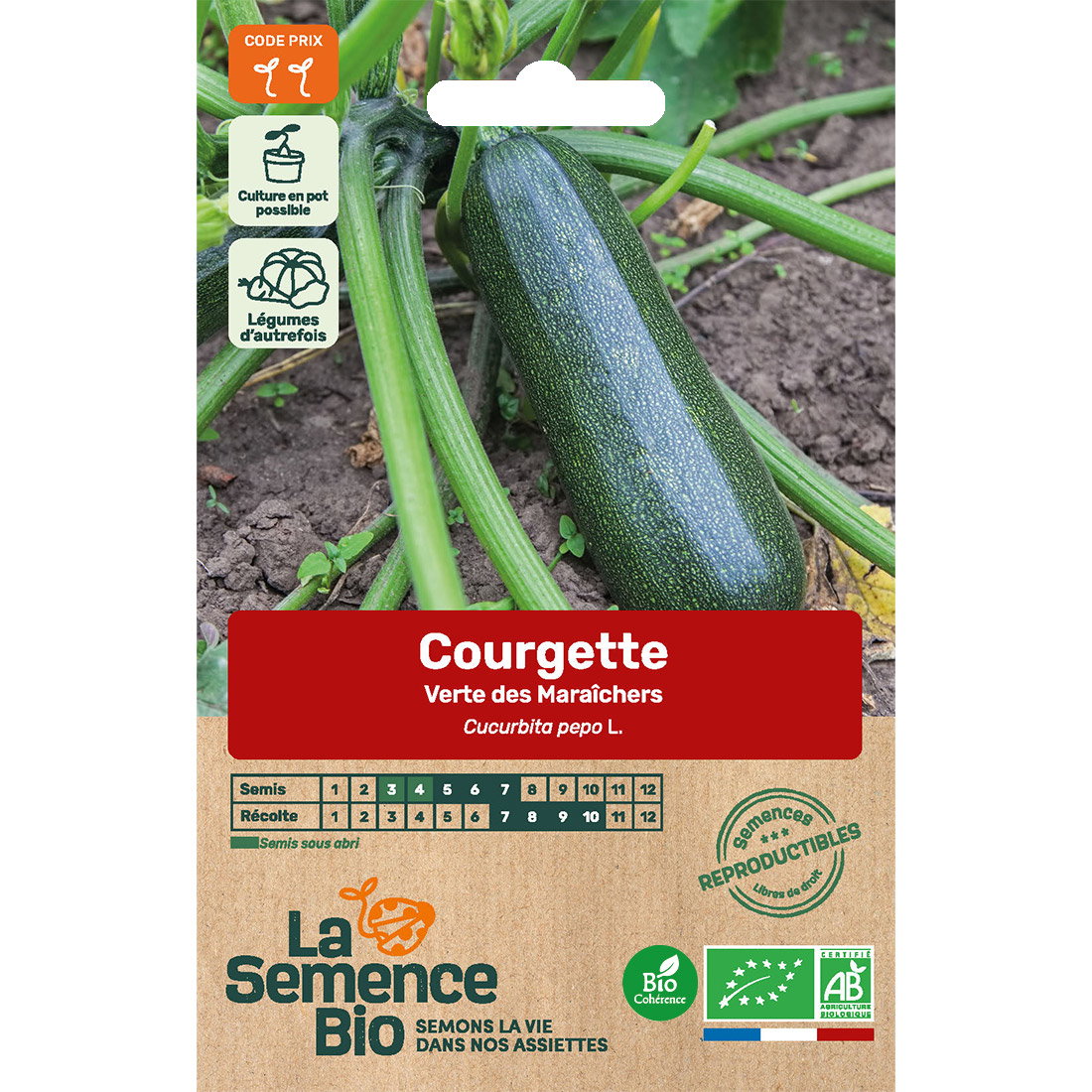 Graines bio de courgette verte des maraîchers