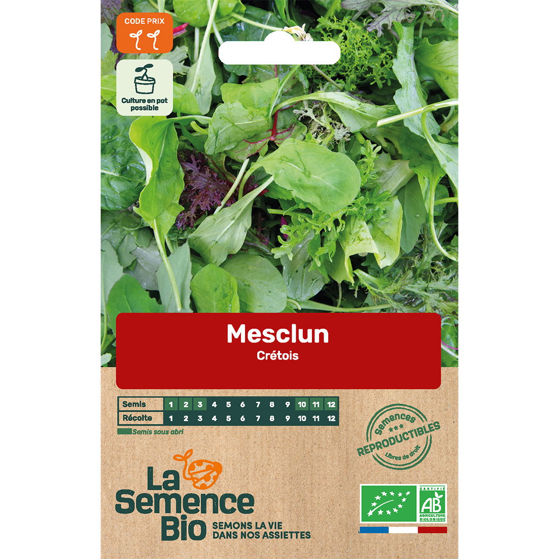 Graines bio mesclun variété crétois
