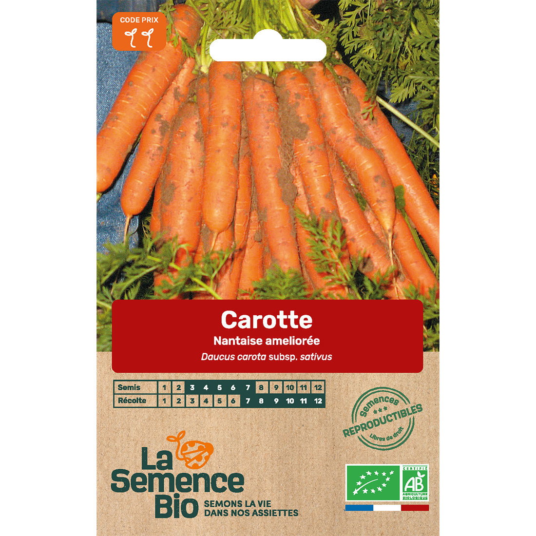 Graines bio de carotte variété nantaise améliorée 5