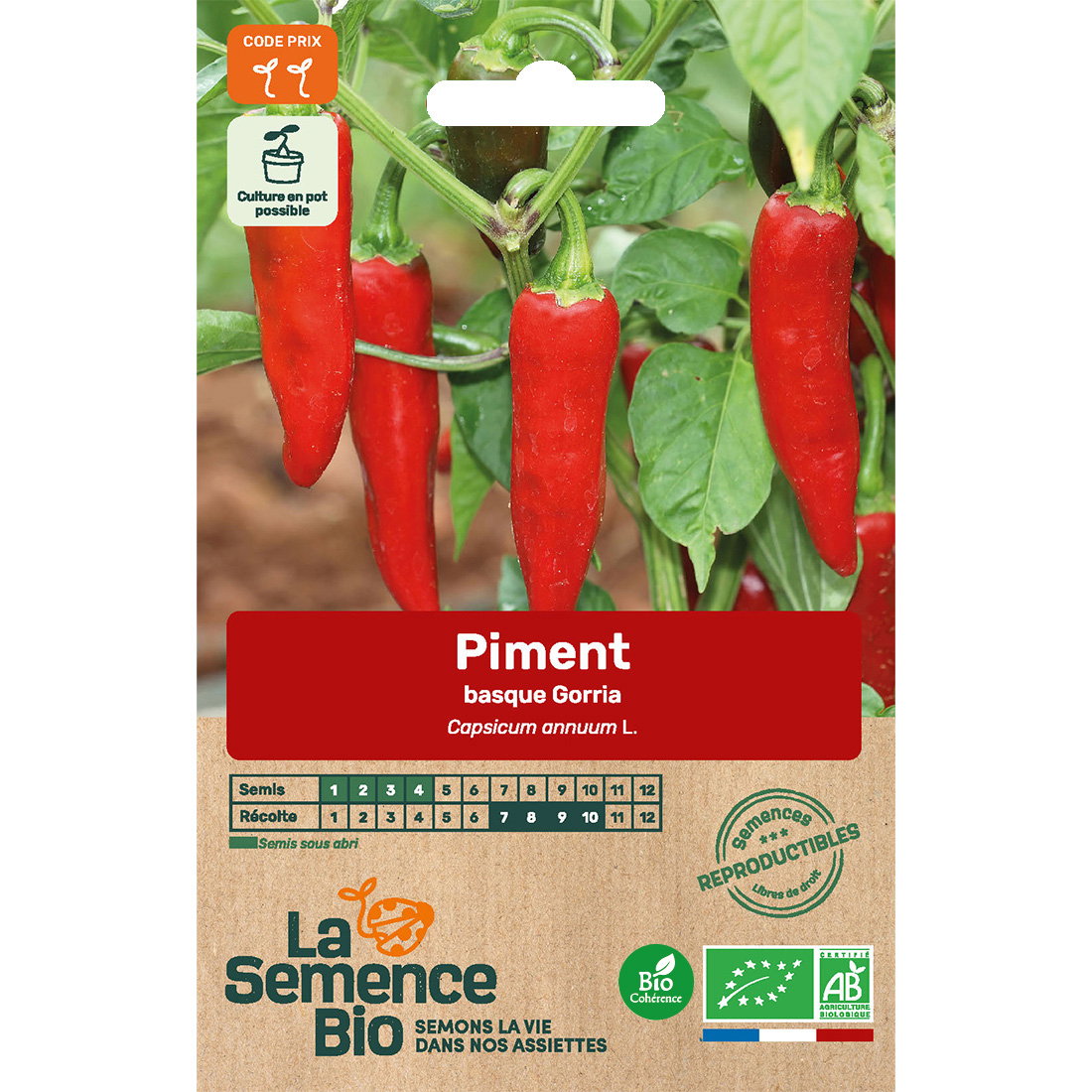 Graines bio de piment gorria dit d'Espelette