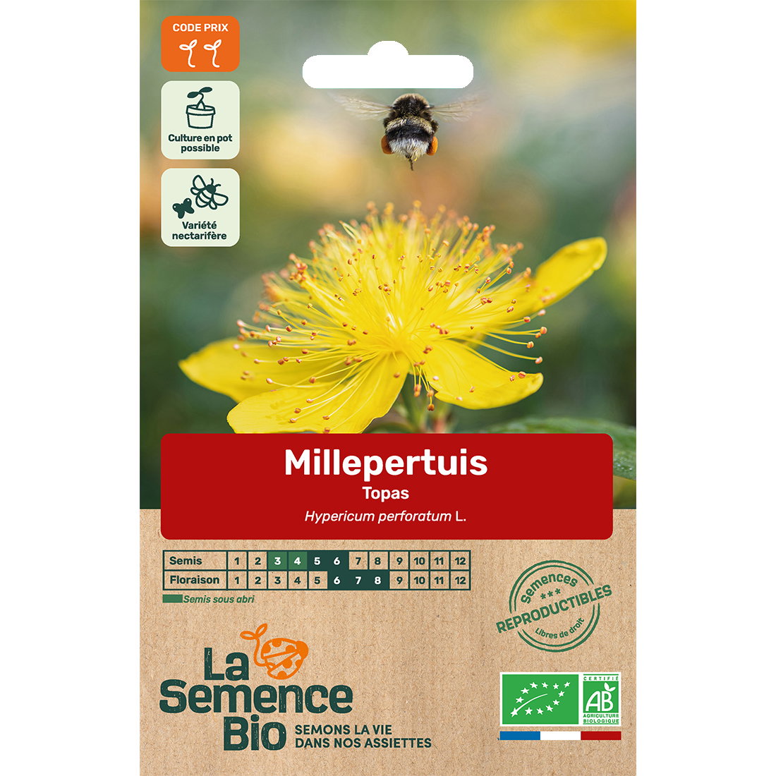Graines bio millepertuis topas