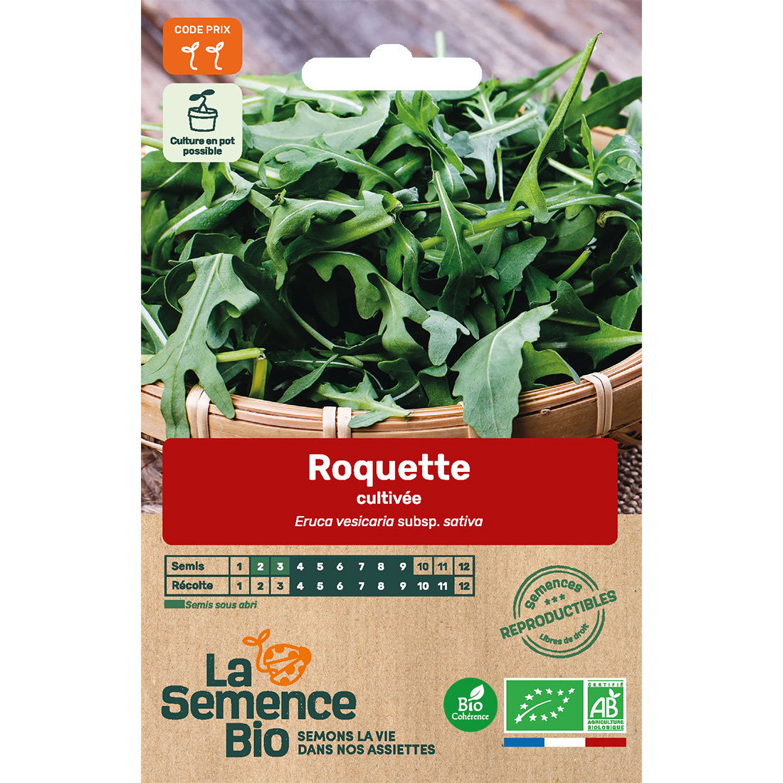 Graines bio de roquette variété cultivée