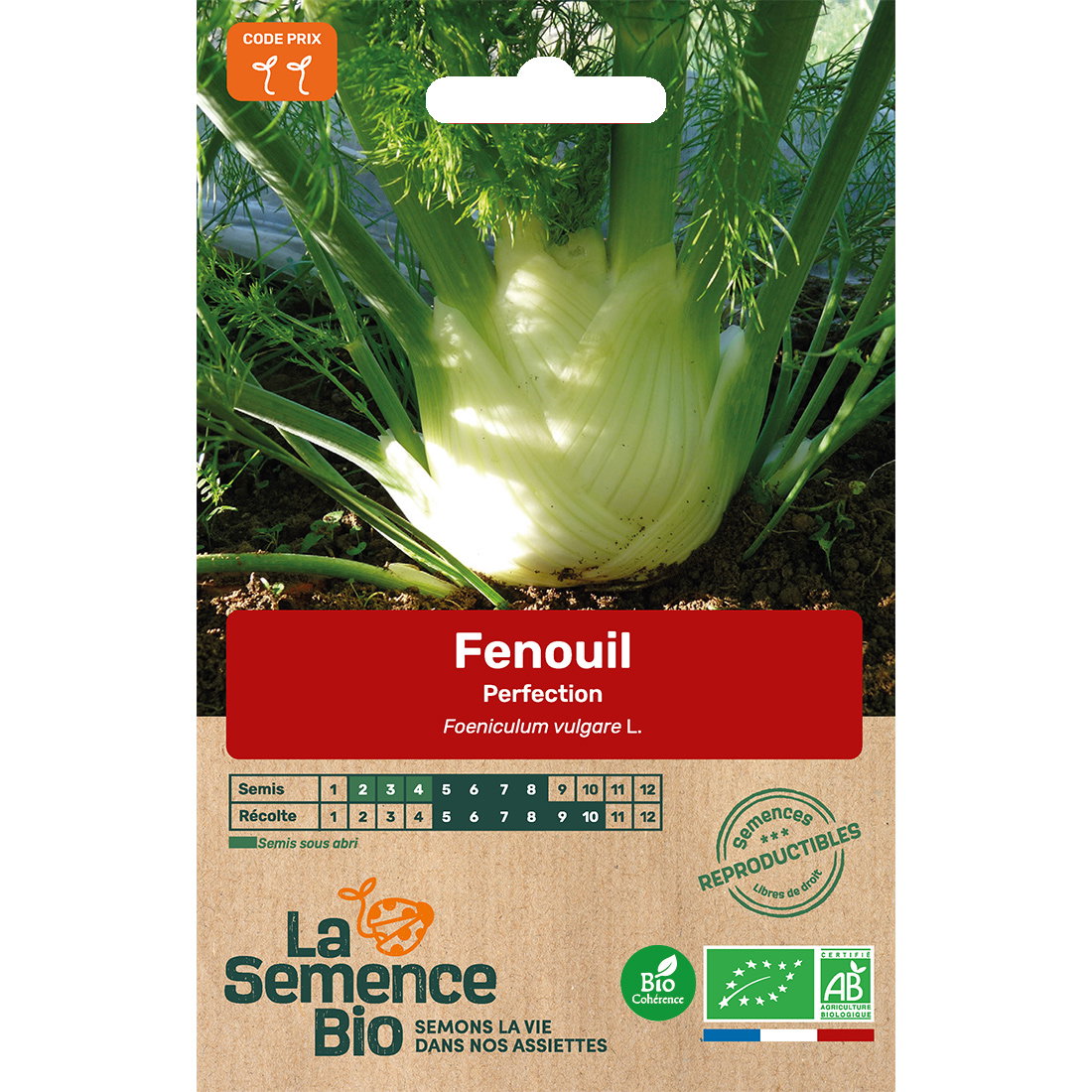 Graines bio de fenouil perfection