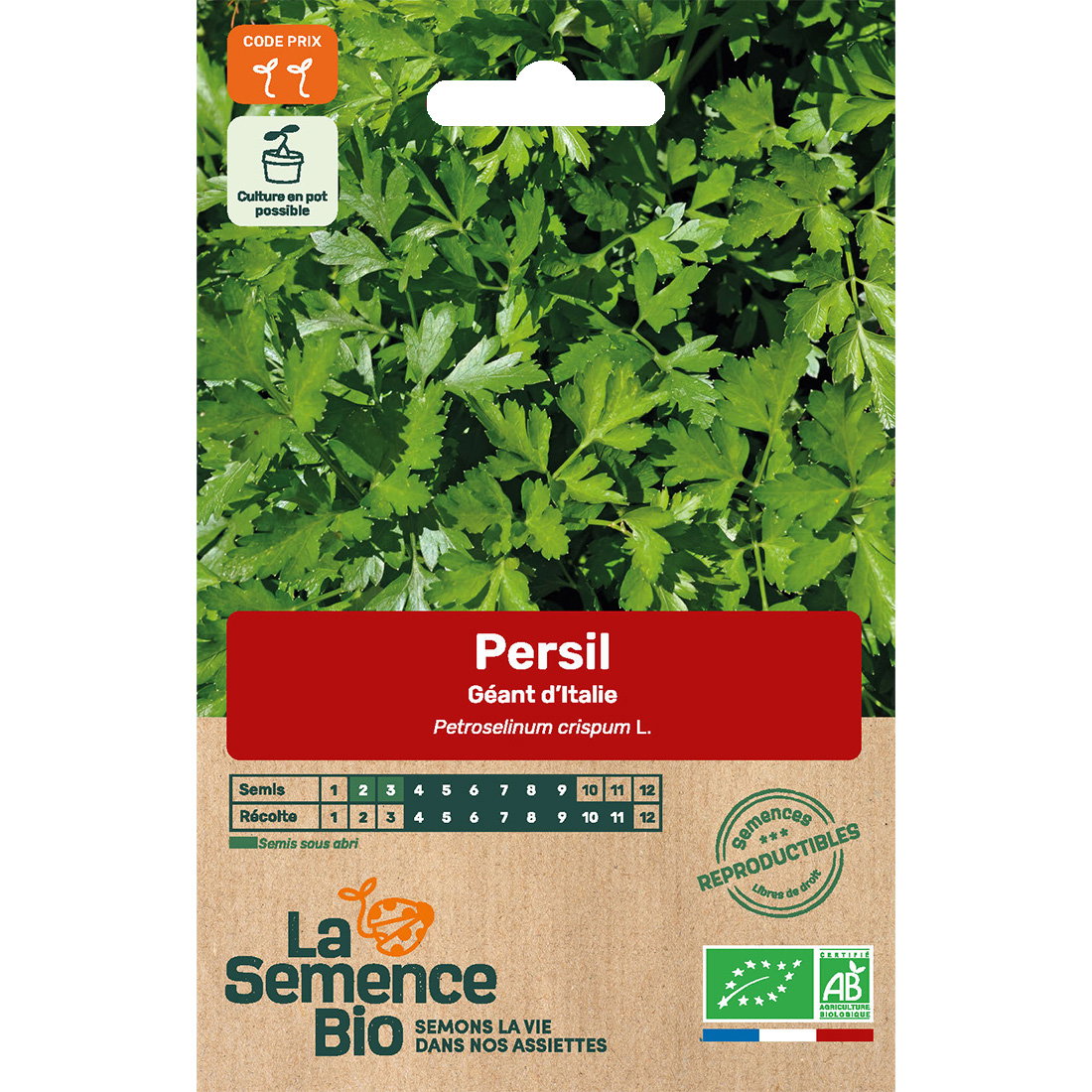 Graines bio de persil variété géant d'Italie