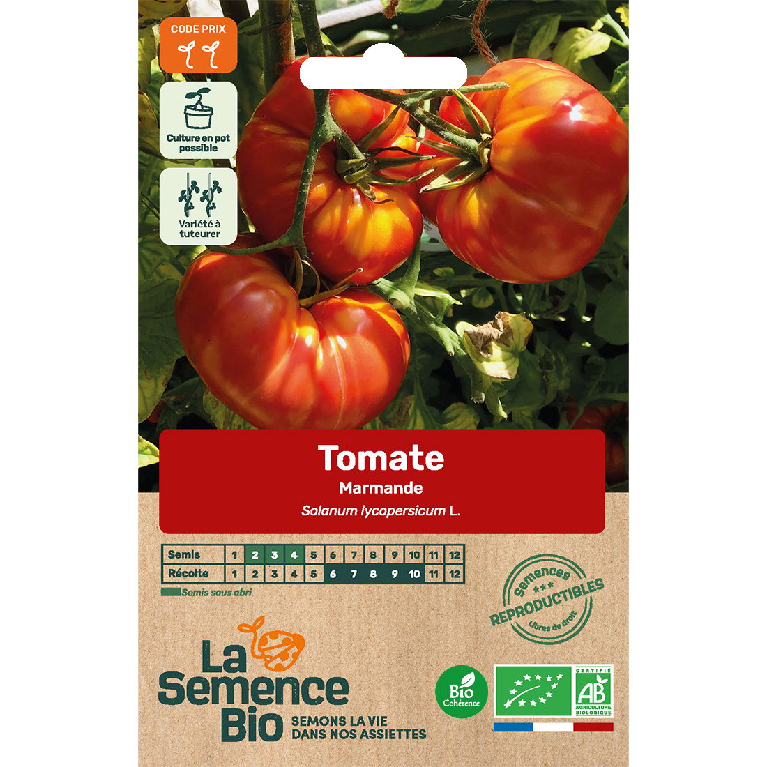 Graines bio de tomate marmande vf