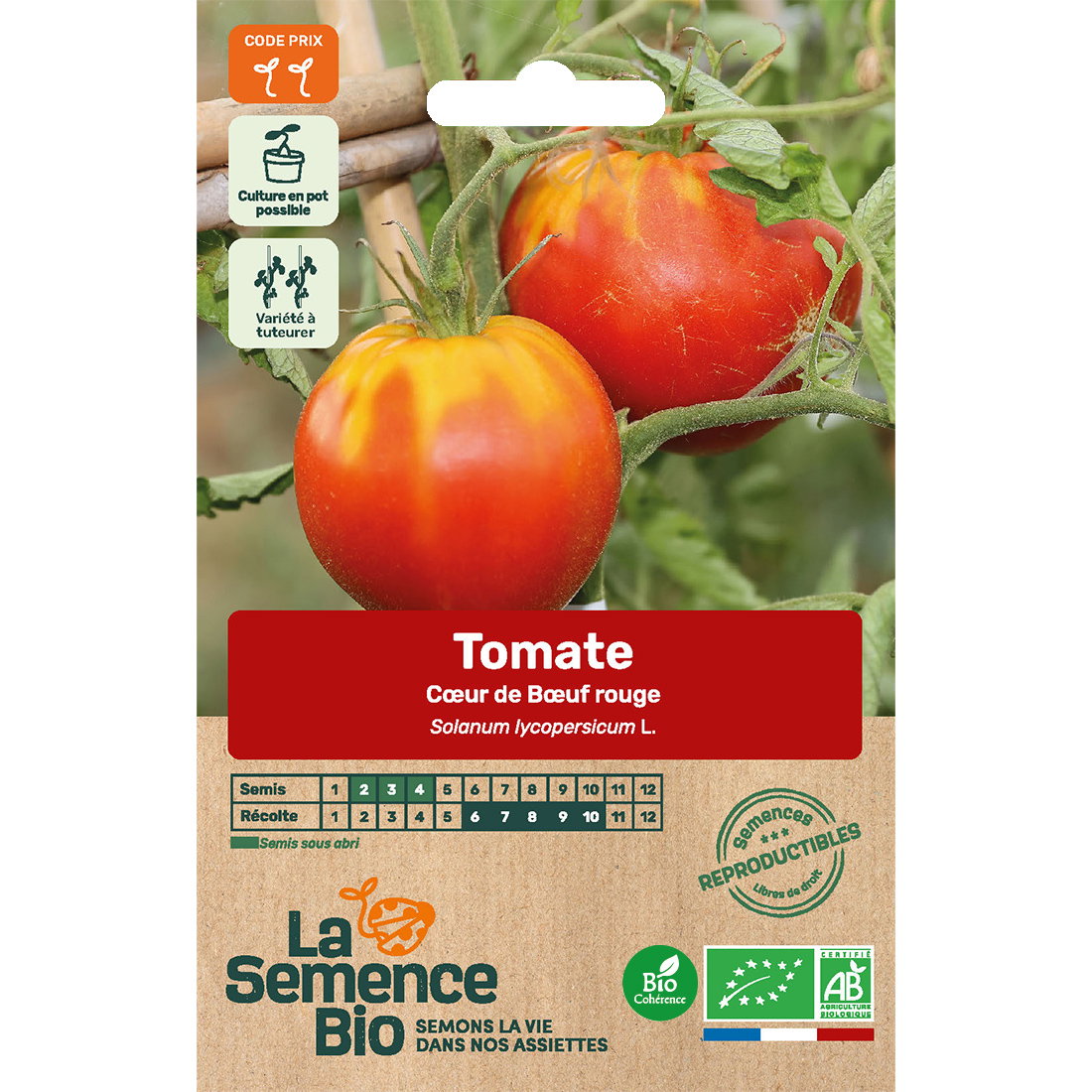 Graines bio tomate coeur de boeuf rouge