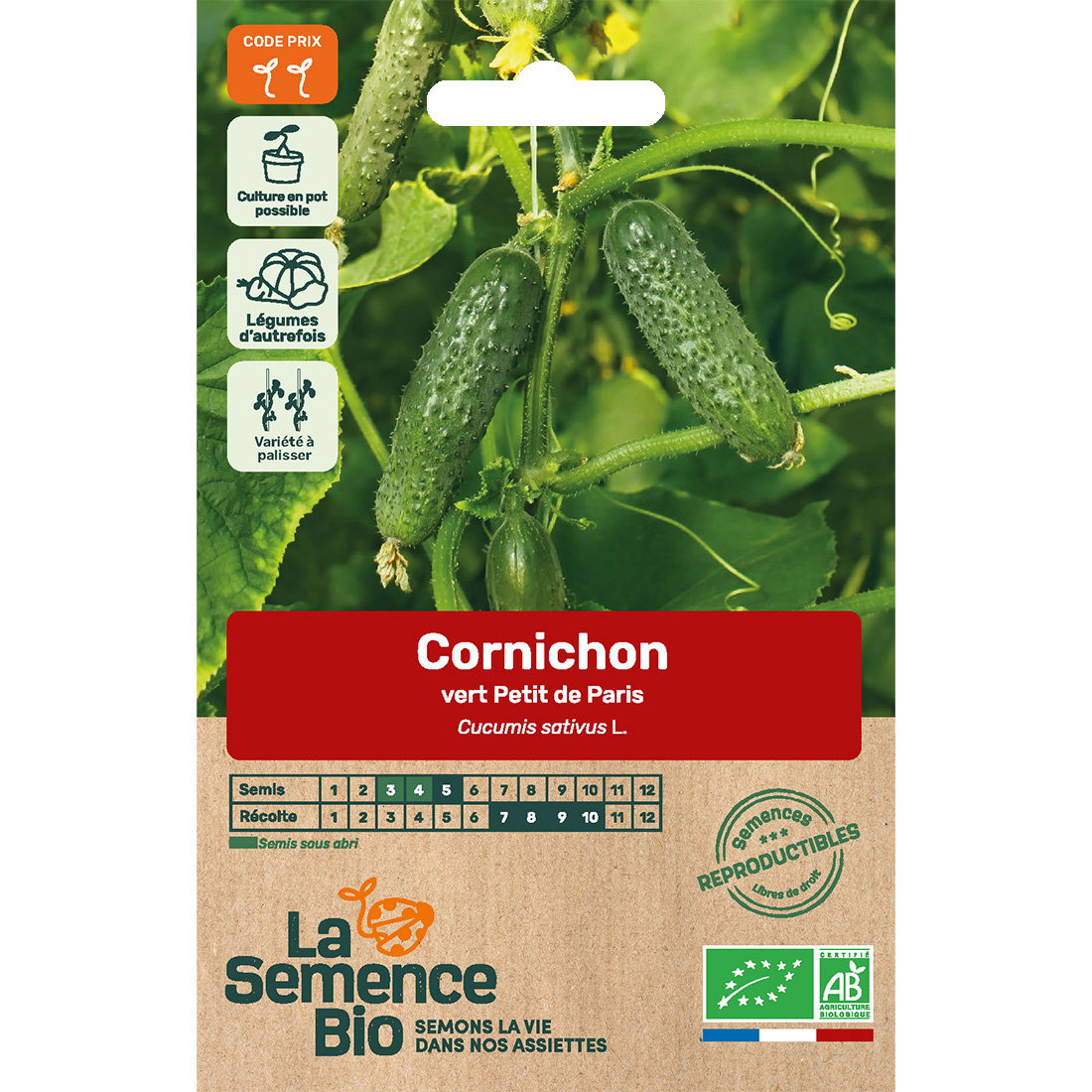 Graines bio de cornichon vert petit de Paris