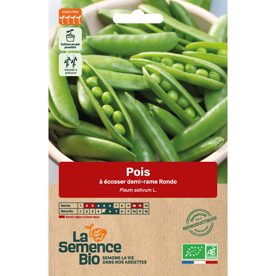 Graines bio de pois à écosser nain rondo