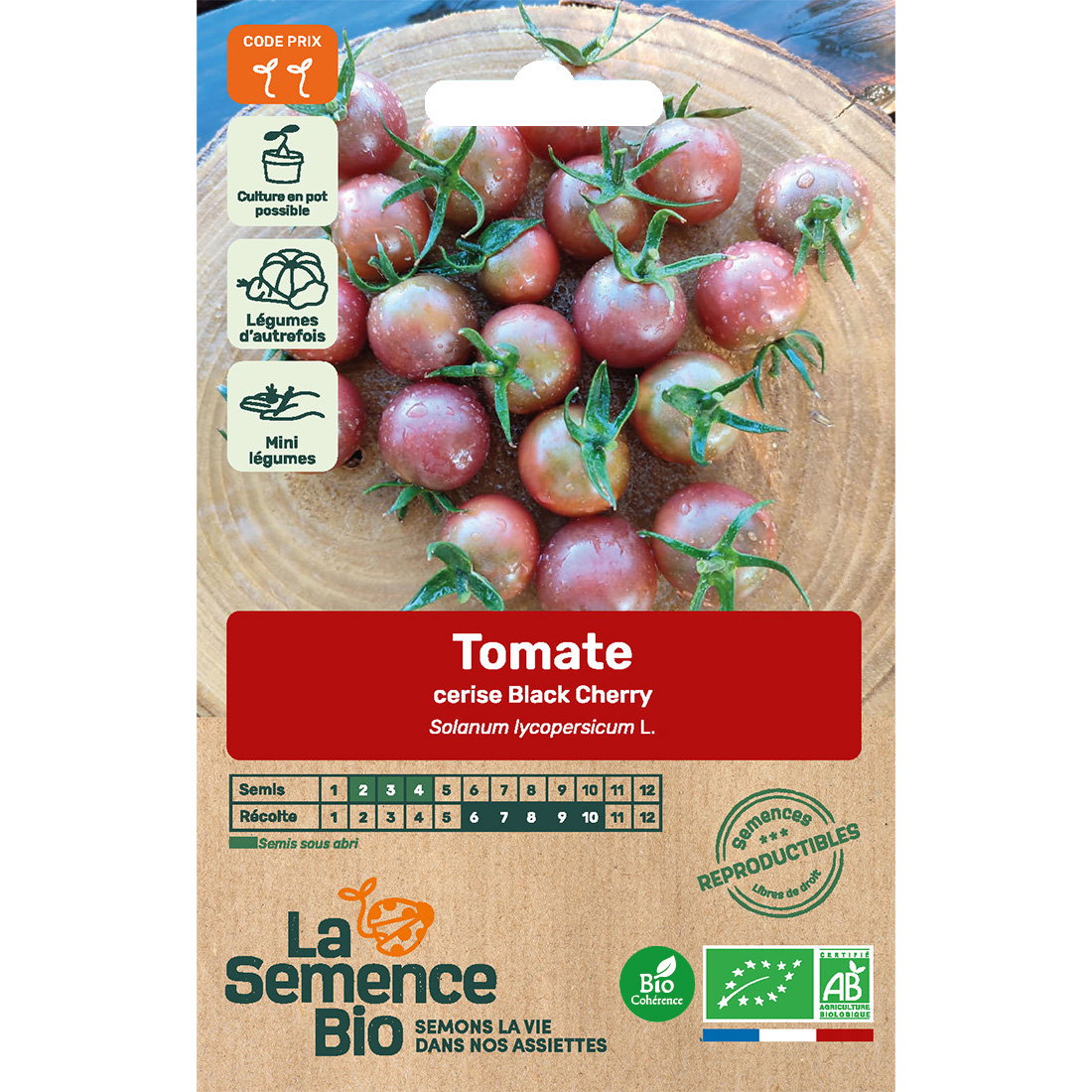 Graines bio de tomate black cherry