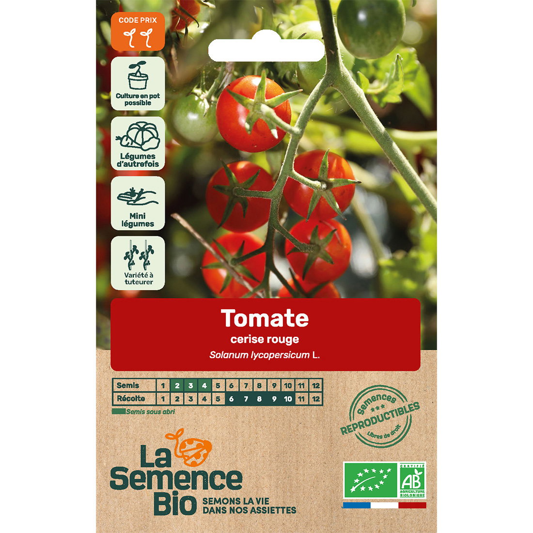 Graines bio de tomate variété cerise rouge