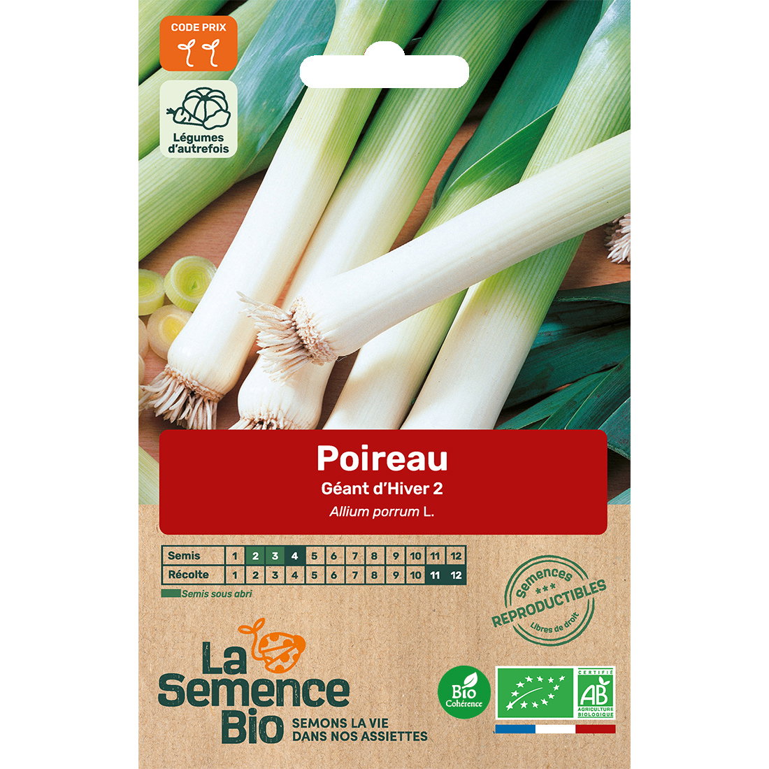 Graines bio de poireau géant d'hiver