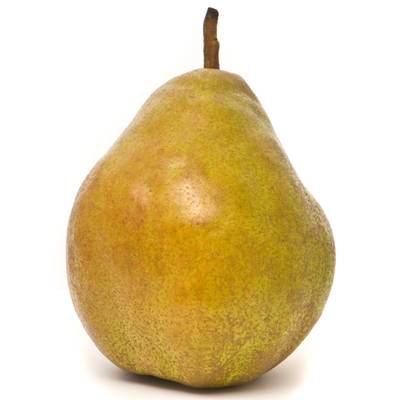 Poire Guyot