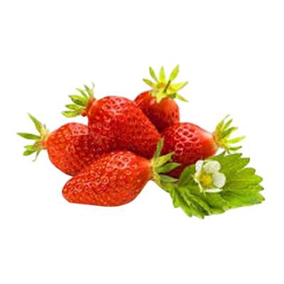 Fraises cirafine Extra de Bretagne - Direct producteur (barquette de 250 g), France