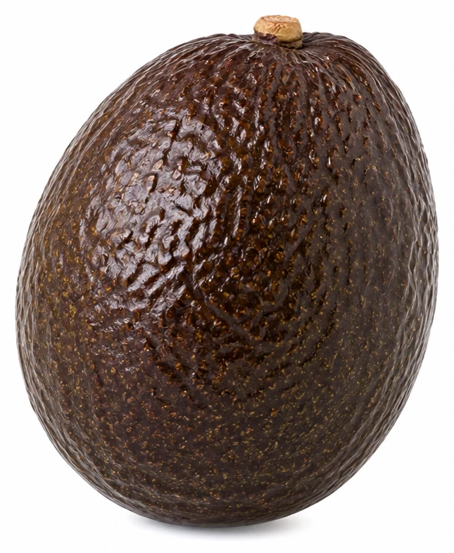 Avocat