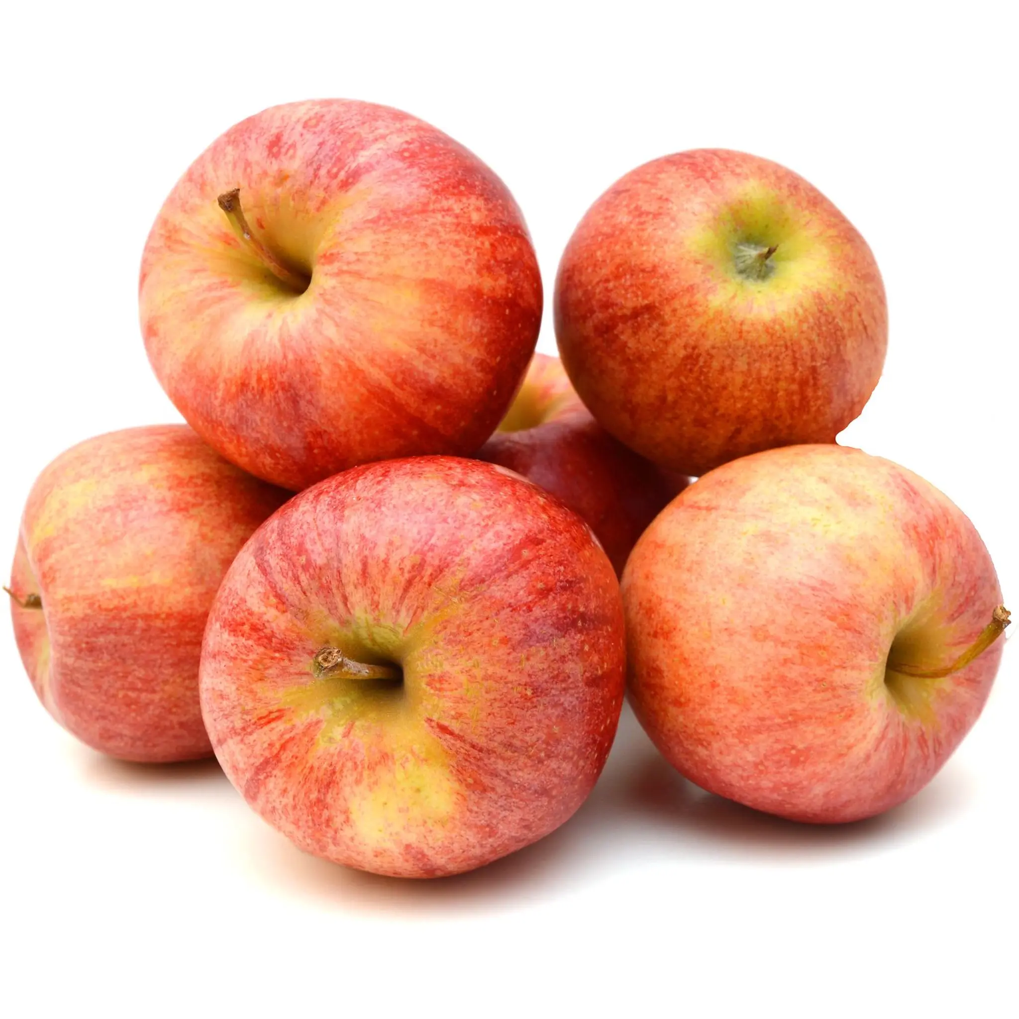 Pommes Gala