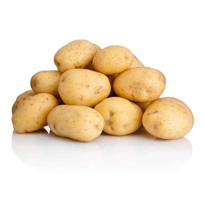 Pommes de terre grenaille "Jazzy" des Hauts-de-France (filet de 1,5 kg), France