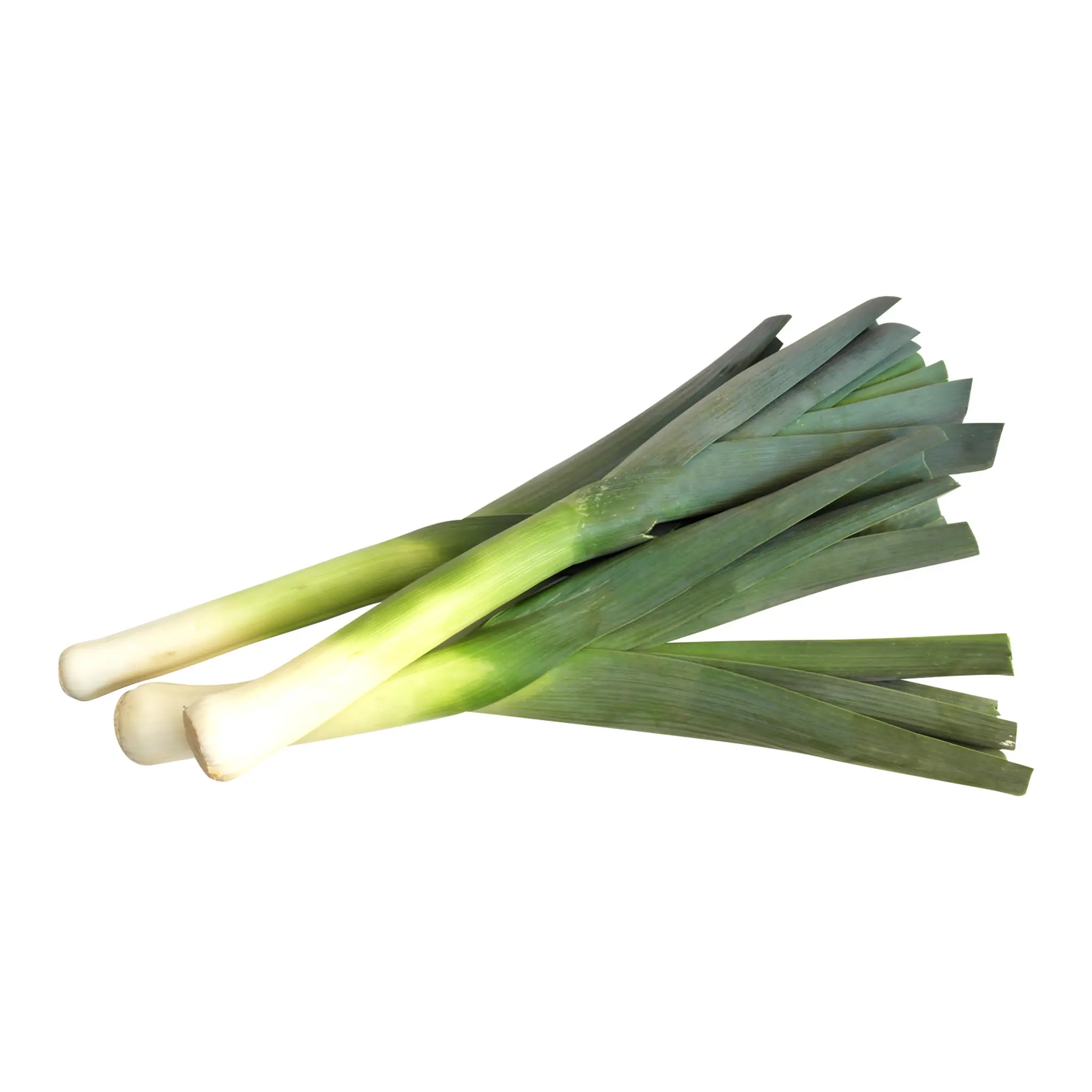 Poireaux bio