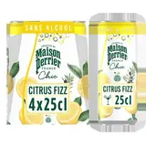 Maison Perrier Chic Boisson Gazeuse Aromatisée Citrus Fizz, 4x25cl