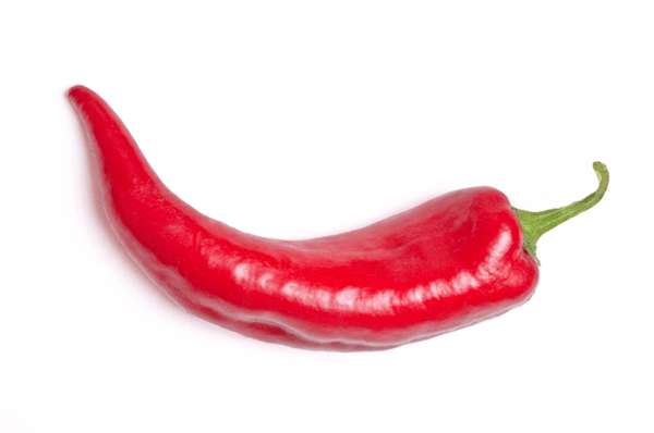Poivrons rouge cornu BIO des Landes - direct producteur, France