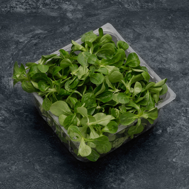 Mâche - Barquette 150g